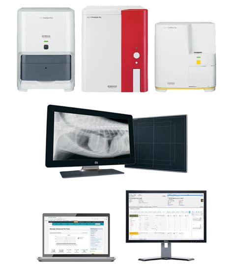 vet tech compression tests idexx|Tests and Services .